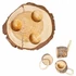 Back Zoo Nature Fa foraging puzzle papagájoknak – kéreg felülettel